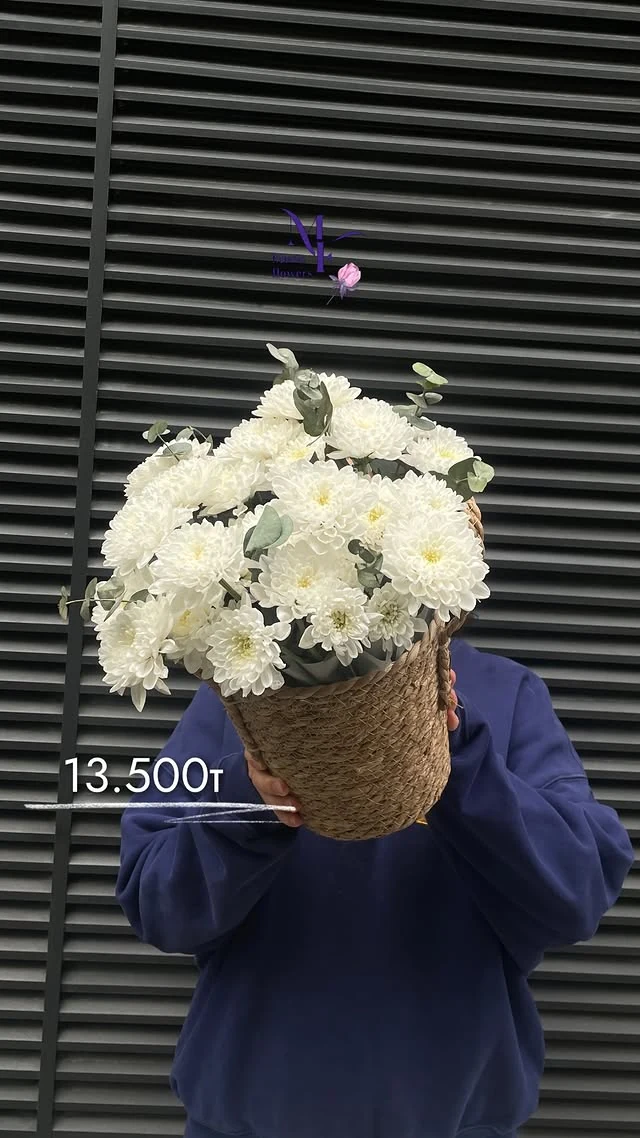 Белые хризантемы в корзине
